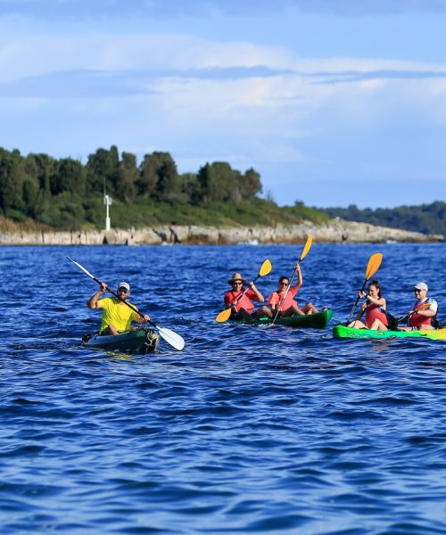 Brijuni kajaktur med heldagstillgång till safaripark, museer och stränder 1
