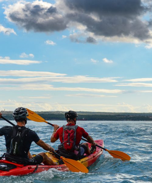 dejanhren_bar_2016_8990